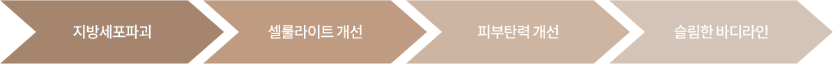 premier_body